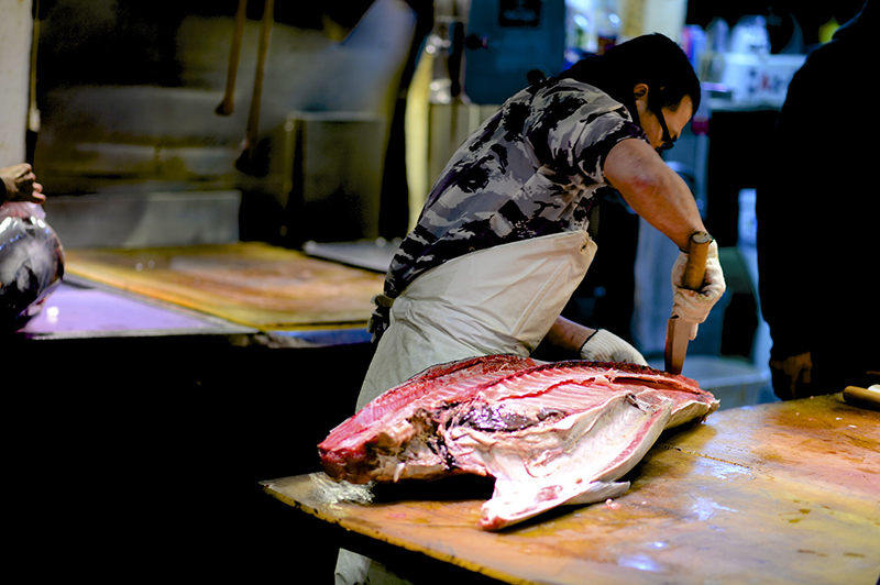 鶴橋漁業組合ホームページ写真撮影